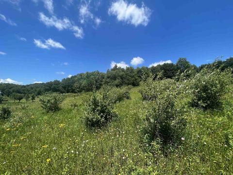 L279 Matterhorn Court, La Valle, WI 53941
