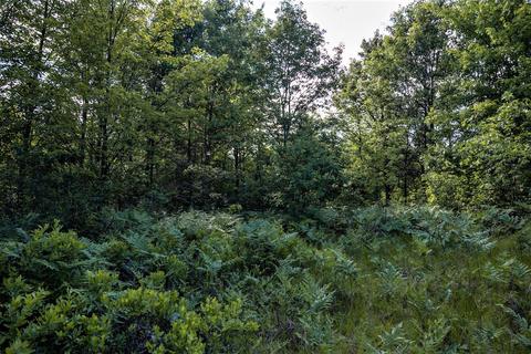 Lot 6 Highway 80, Necedah, WI 54646