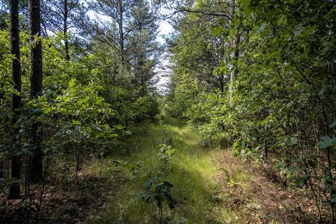 Lot 8 18th Street, Necedah, WI 54646