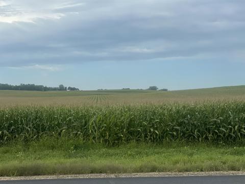 38 97 Highway 60, Arlington, WI 53555