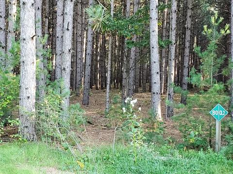 80 4th Street, Nekoosa, WI 54457