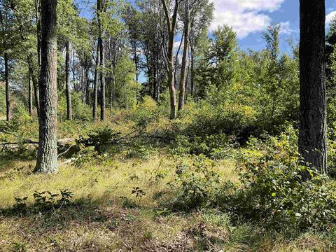 Lot 67 10th Street, Necedah, WI 54646