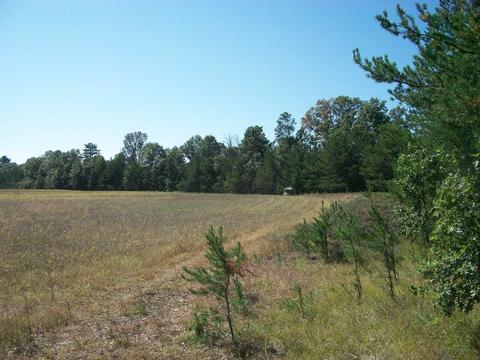38 Acres 18th St, Necedah, WI 54646