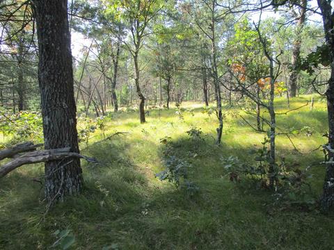 00 15th Ave, Arkdale, WI 54613