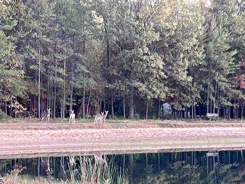 Lot 11 Of Half Moon Bay, New Lisbon, WI 53950