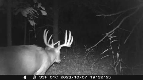 77 Acres County Rd W, Union Center, WI 53962