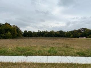 4065 Bear Tree Pkwy, Deforest, WI 53532 photo 1