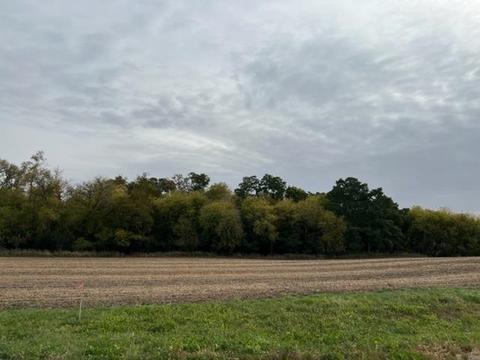 Lot 1 North Star Road, Cottage Grove, WI 53527