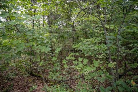 Lot 3 E Half Moon Bay Drive, New Lisbon, WI 53950