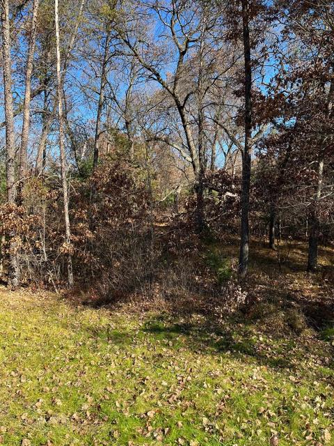 L17 S Eagle Ave, Friendship, WI 53934