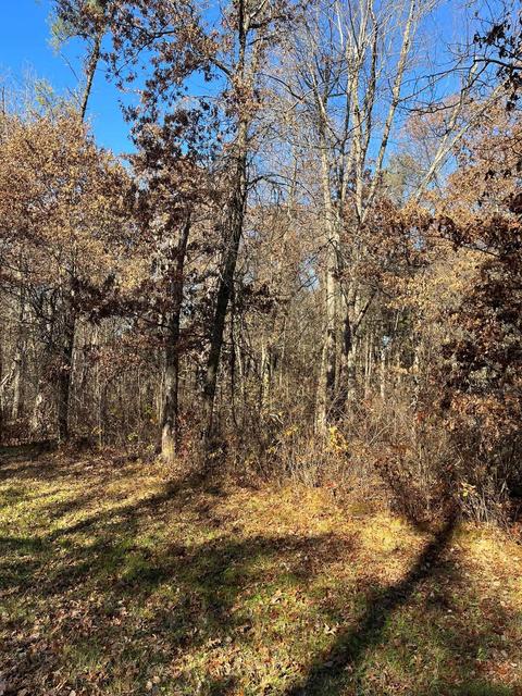 L18 18th Ln, Friendship, WI 53934