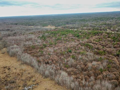 42 2 Acres Highway 80, Necedah, WI 54646