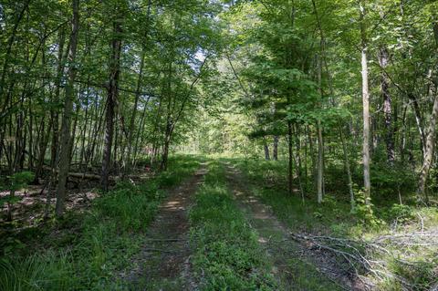 9 18 Acres County Road A, New Lisbon, WI 53950