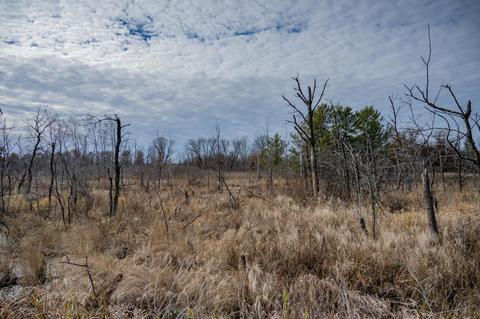 33 19 Acres Highway 80, Necedah, WI 54646