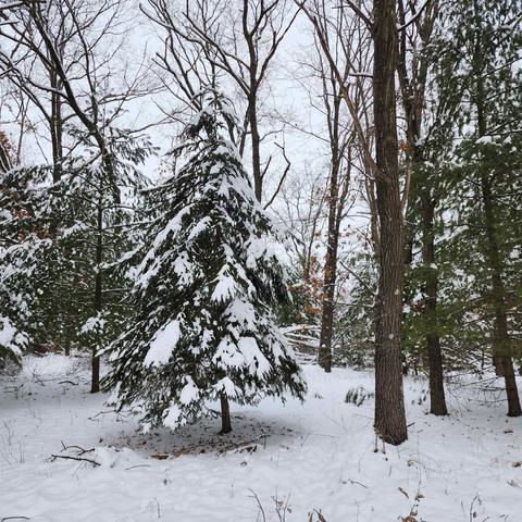 000 Hillcrest Dr, Packwaukee, WI 53953