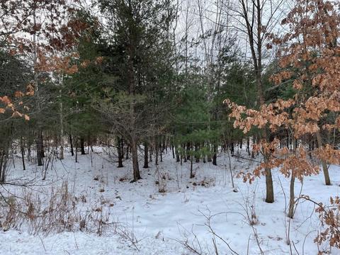 L1 Highway 54 & Port Road, Port Edwards, WI 54469