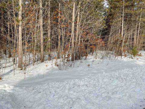 Lot 63 Yellow Banks Trail, Nekoosa, WI 54457