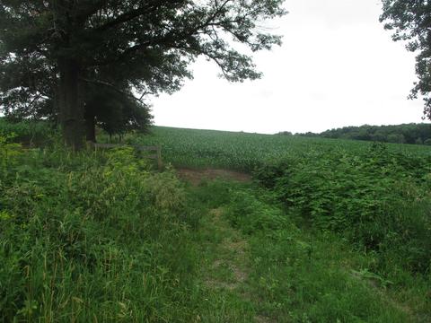 5 County Rd W # a, Loganville, WI 53943