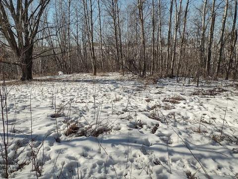 0000 Highway 1461, Westby, WI 54667