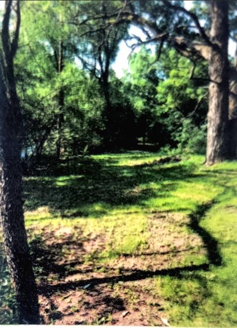 121 Twinkling Star Rd, Whitewater, WI 53190