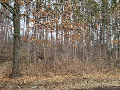 Lot 3 Edwards Lane, Brodhead, WI 53520