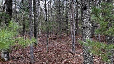 Lot 49 Menominee Shores Drive, Wausaukee, WI 54177