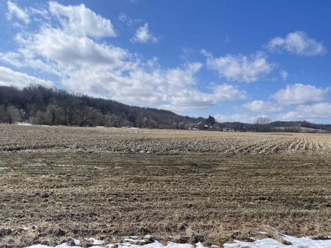 31 15 Acres Sand Hill Rd, Loganville, WI 53943