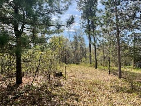 182 Walden Ct, Nekoosa, WI 54457