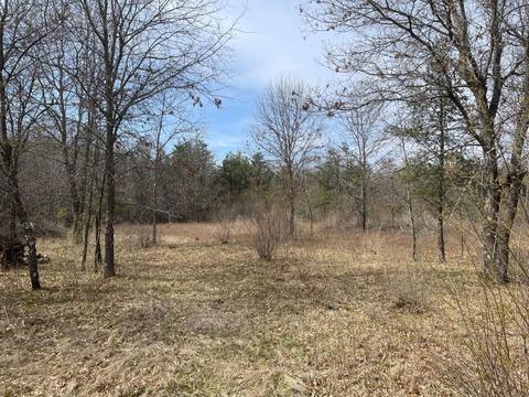 L35 Halls Point Road, Necedah, WI 54646