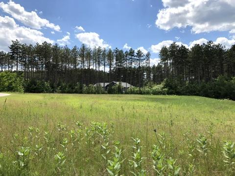 Lot 38 Red Pine Road, Baraboo, WI 53913