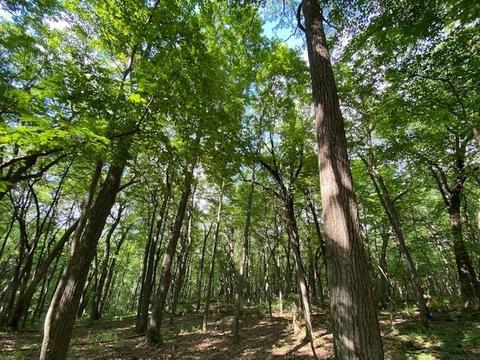 10 Acres Observatory Rd, Cross Plains, WI 53528