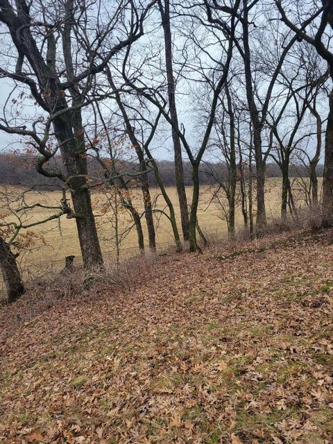 Lot 3 Tower Line Road, Marshall, WI 53559