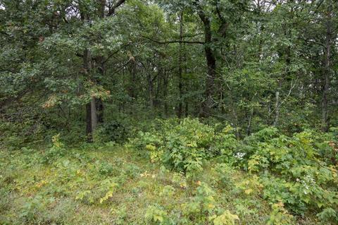 n9254 22nd Avenue, Necedah, WI 54646