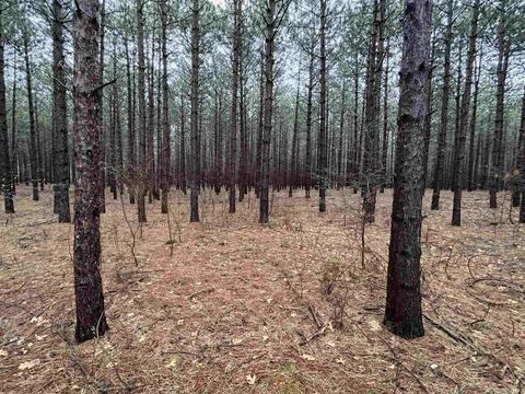 L78 23rd Avenue, Nekoosa, WI 54457
