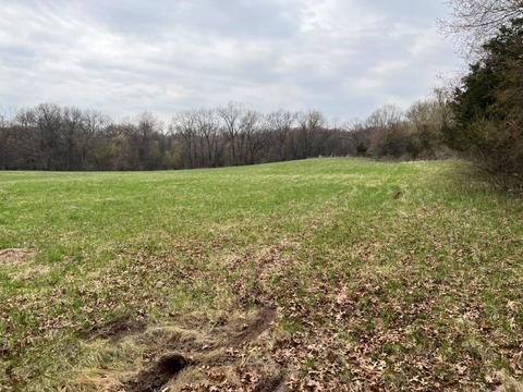 60 Acres Ml Staufenbeil Rd, Pardeeville, WI 53954