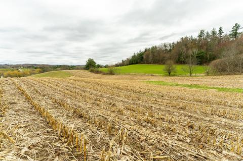 lot2 Blackberry Ave, Warrens, WI 54666