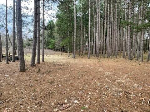 889 Norwich Ct, Nekoosa, WI 54457