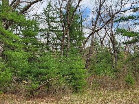 6 6 Ac 1st Dr, Coloma, WI 54930