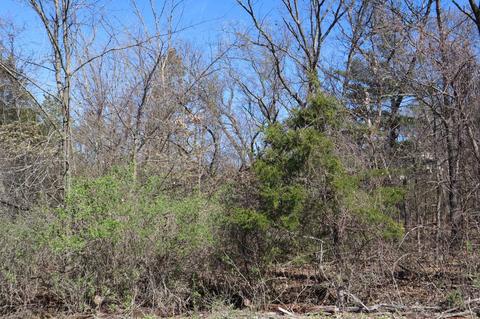 Cliff House Road, Mauston, WI 53948