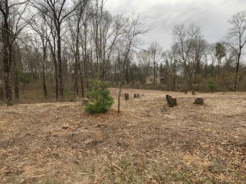1327 Wedgewood Tr, Nekoosa, WI 54457