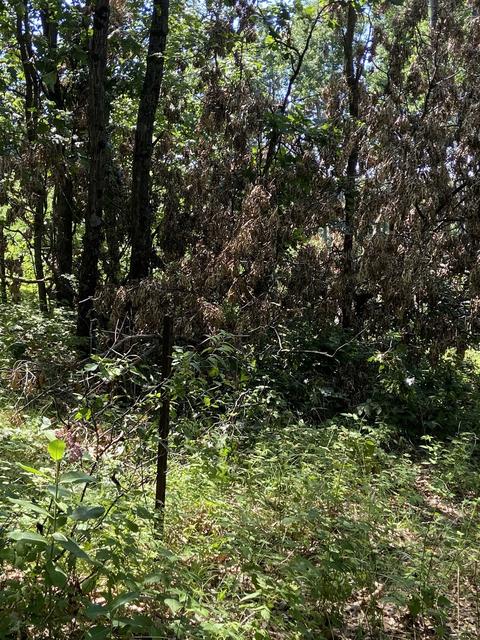 000 Dyke Ave, Grand Marsh, WI 53936