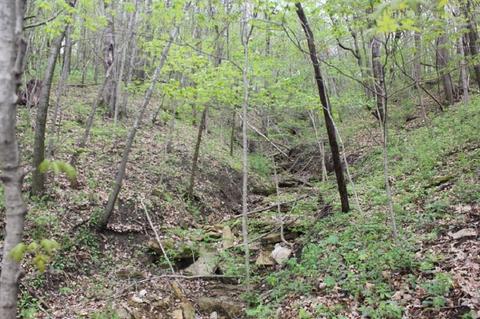 0 Plattequarry Rd, Platteville, WI 53818