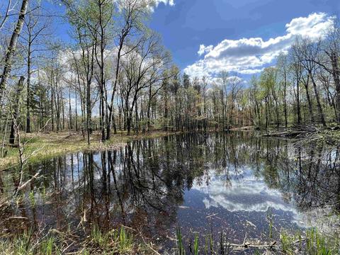 5 Ac 15th Ln, Adams, WI 53910