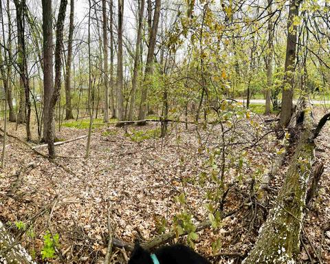 Jute, Lake Geneva, WI 53147