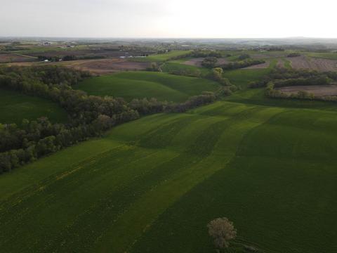 000 Rielly Rd, Darlington, WI 53530