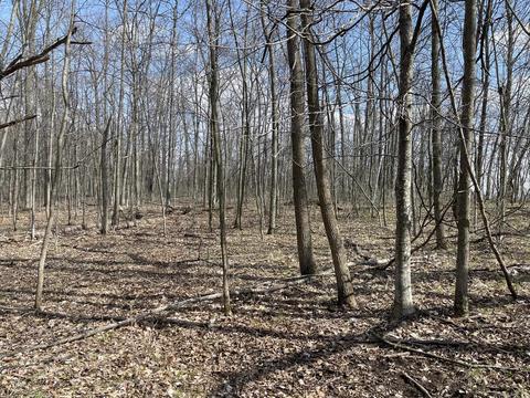 L989 Pine Tops S Dutch Hollow Road, La Valle, WI 53941