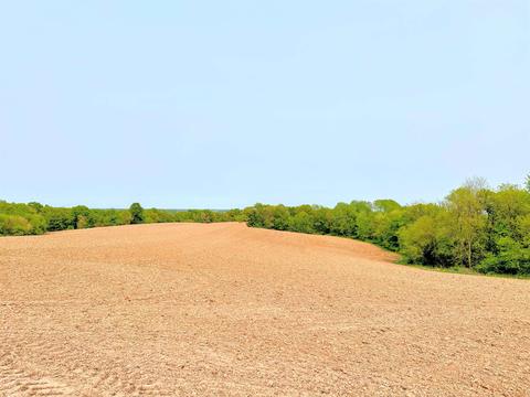 40 Acres County Rd E, Seneca, WI 54654
