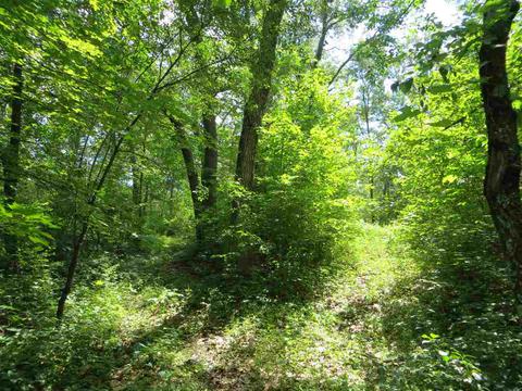 Lot 44 Black Oak Court, Coloma, WI 54930
