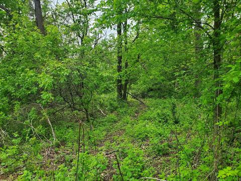8 21 Ac Highway 82, Viroqua, WI 54665