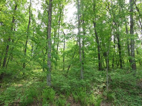 Lot 1 Fish Court, Oxford, WI 53952
